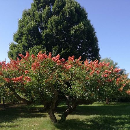 B&B Villa Napoli Battipaglia Bagian luar foto