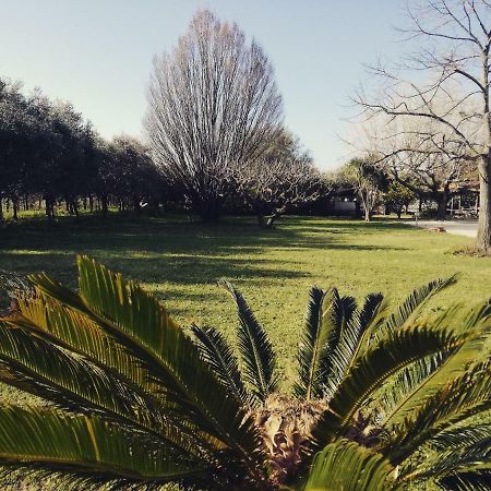 B&B Villa Napoli Battipaglia Bagian luar foto