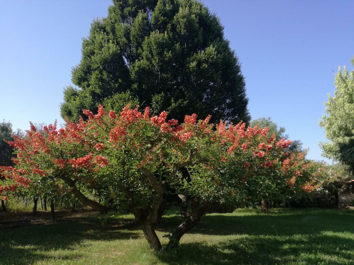 B&B Villa Napoli Battipaglia Bagian luar foto
