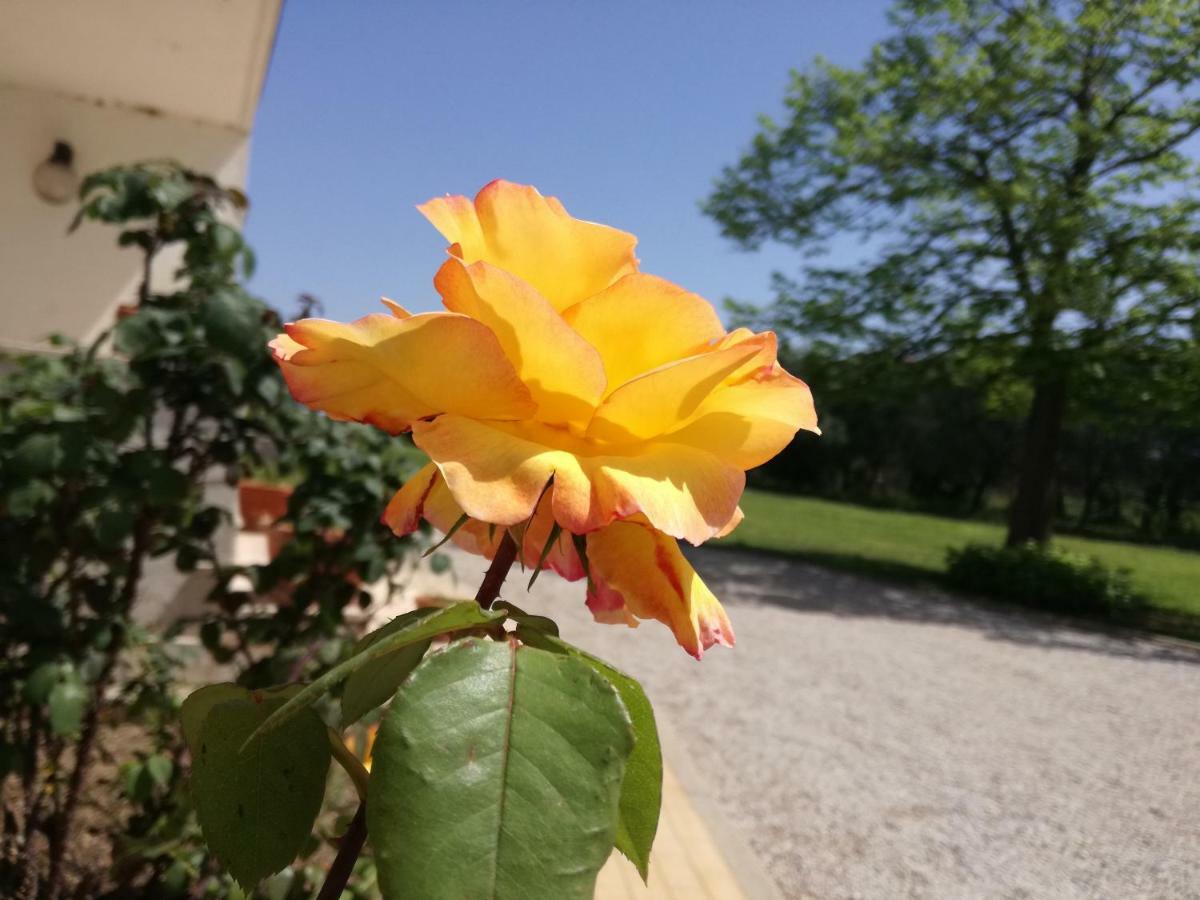 B&B Villa Napoli Battipaglia Bagian luar foto
