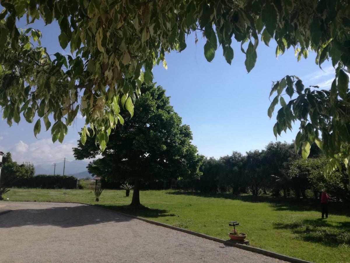 B&B Villa Napoli Battipaglia Bagian luar foto