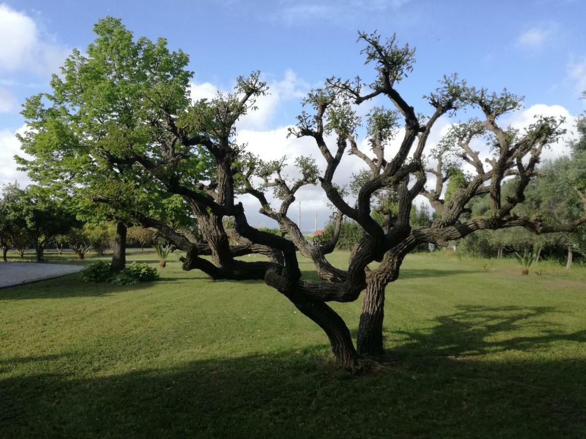 B&B Villa Napoli Battipaglia Bagian luar foto