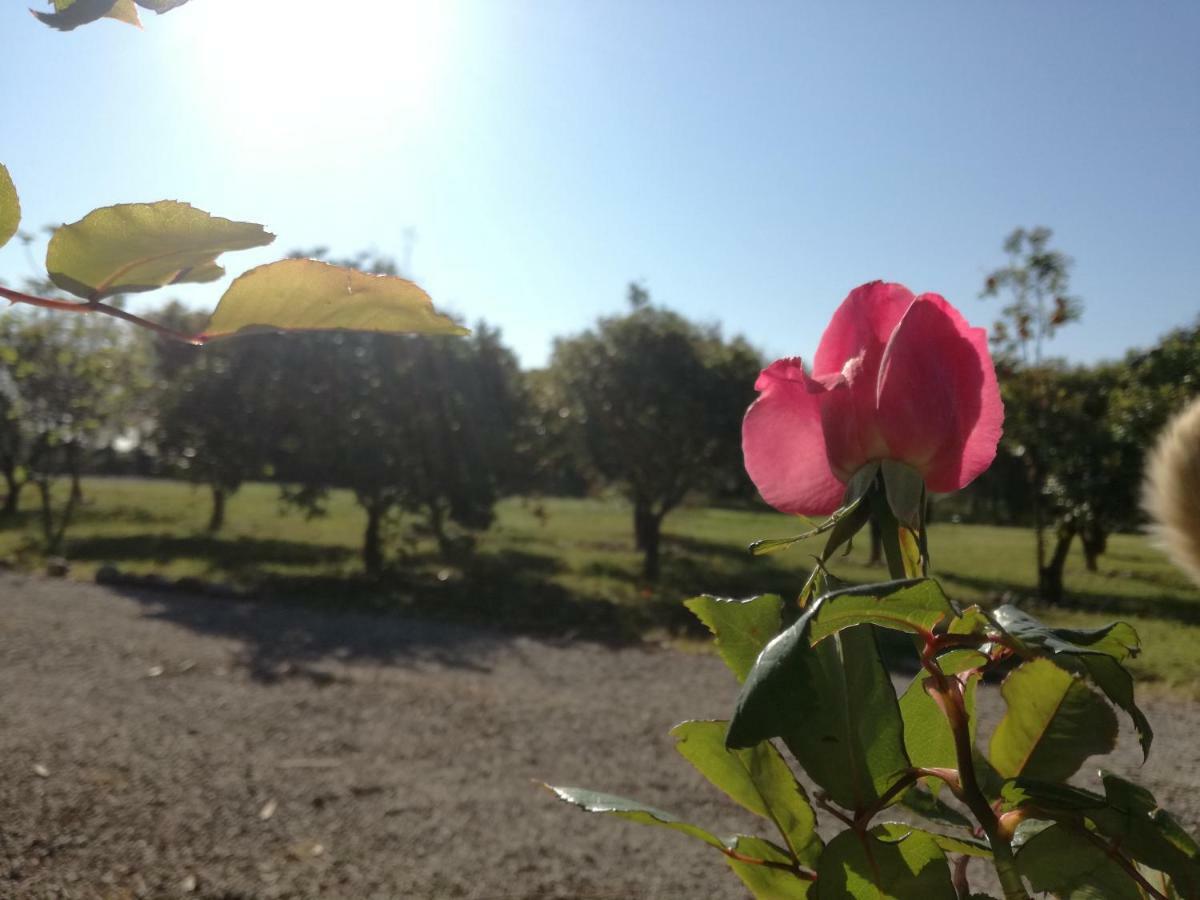 B&B Villa Napoli Battipaglia Bagian luar foto