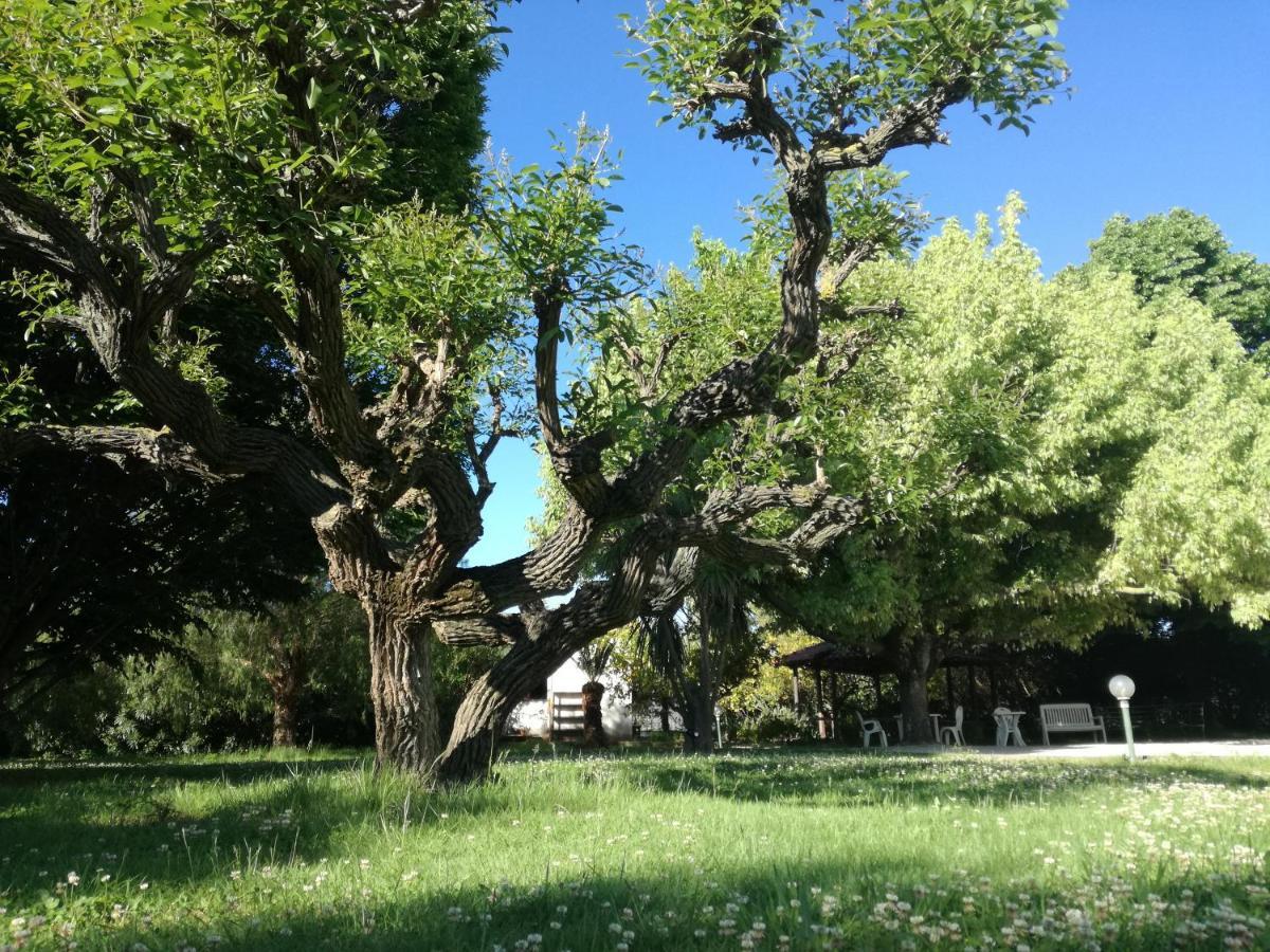 B&B Villa Napoli Battipaglia Bagian luar foto